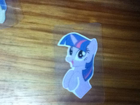 Pony Lamination's