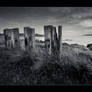 Beach Posts