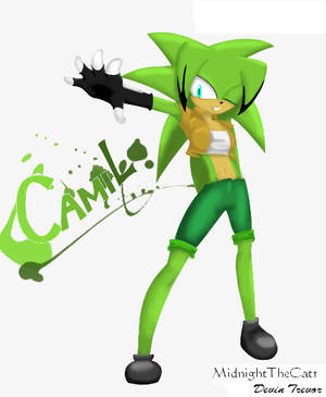 AT, Camil The Hedgehog by XxMidyBluexX