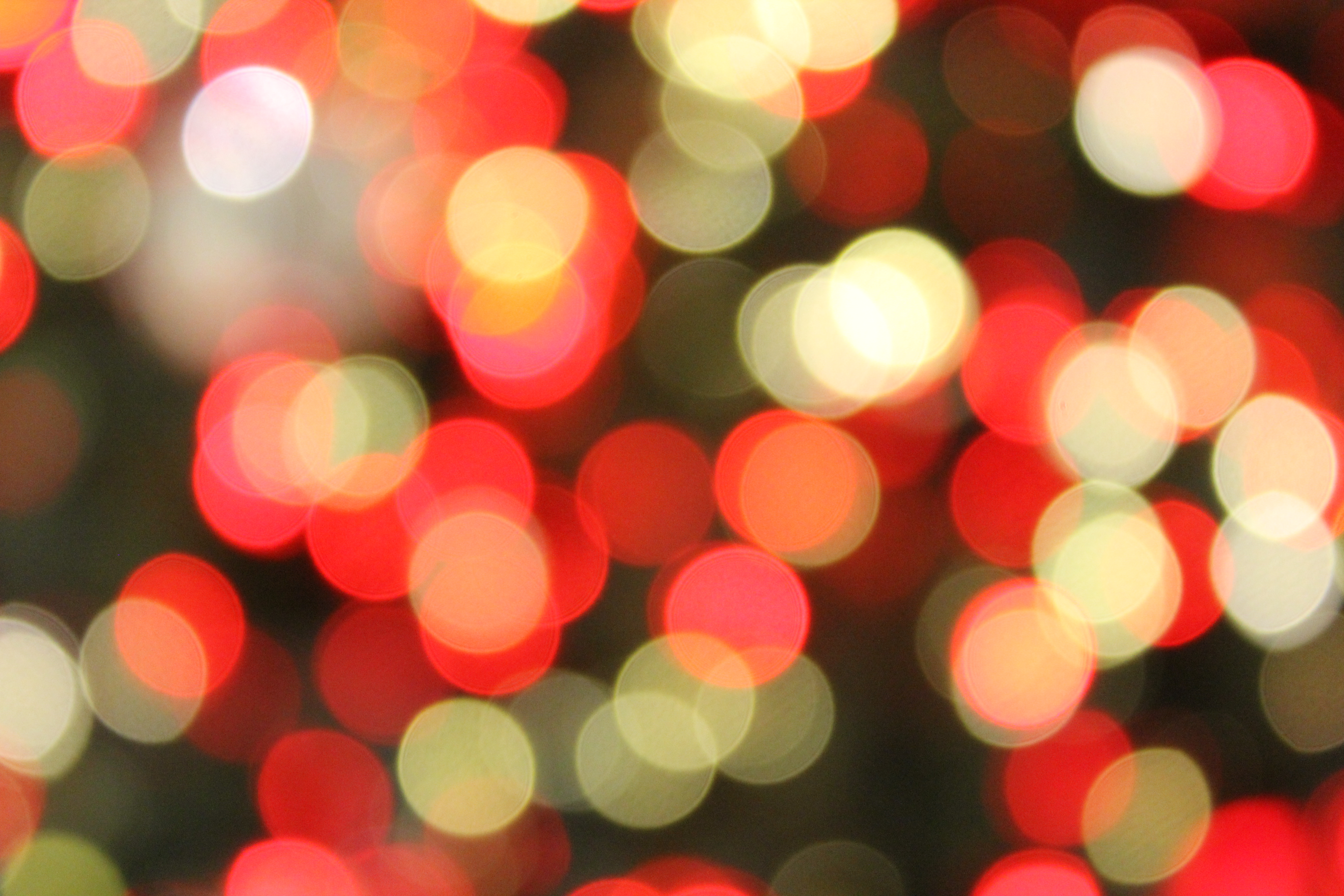 christmas Bokeh