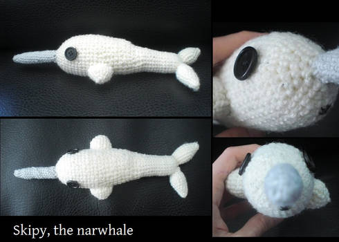 Skipy, the narwhale