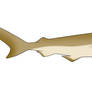 Kaily the sandbar shark