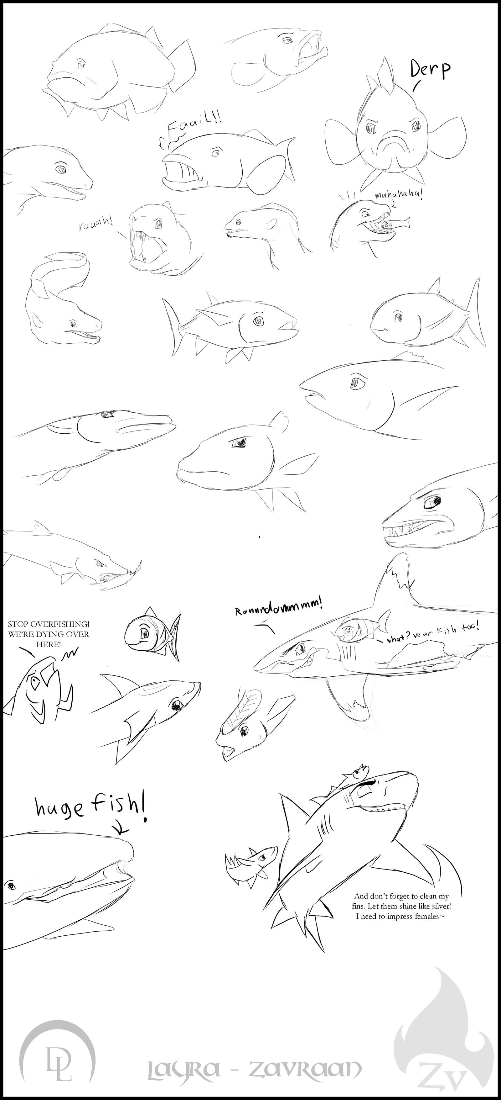 Fish sketches by Zavraan on DeviantArt
