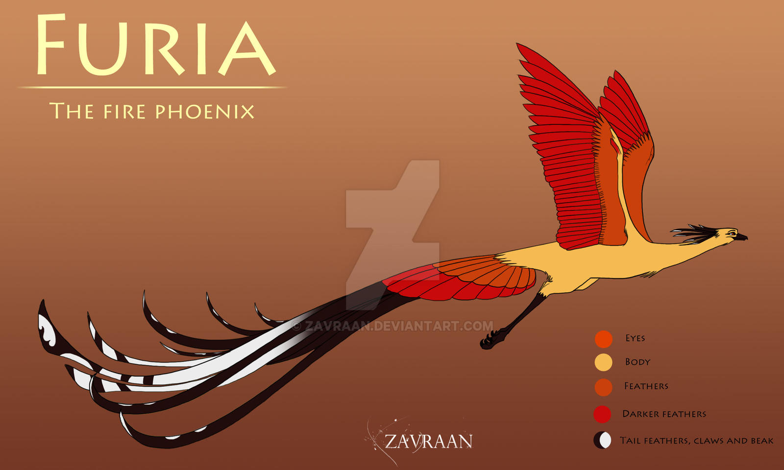 Furia the fire phoenix - RANDOM CHARACTER by Zavraan on DeviantArt