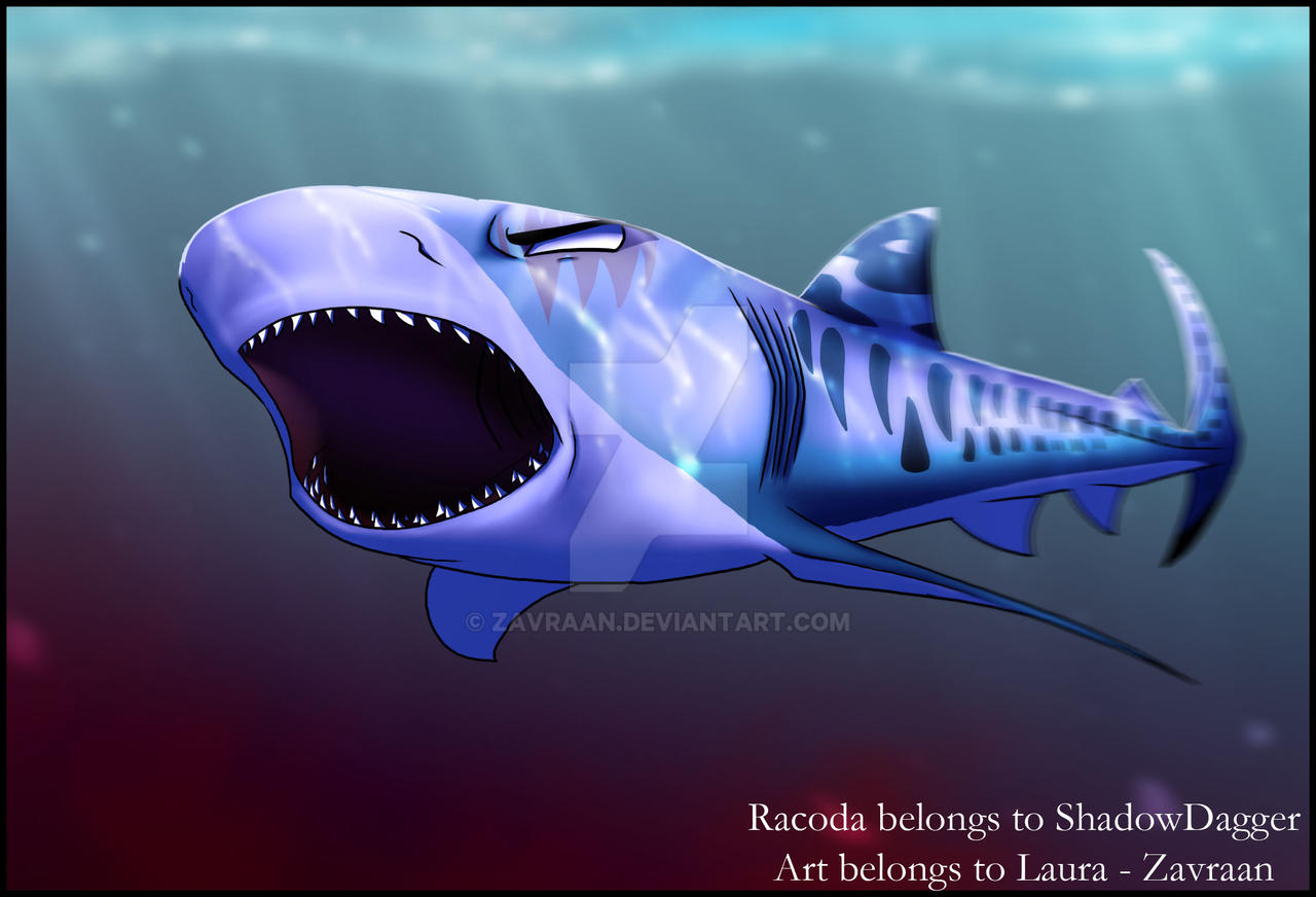Shark attack by Zavraan on DeviantArt