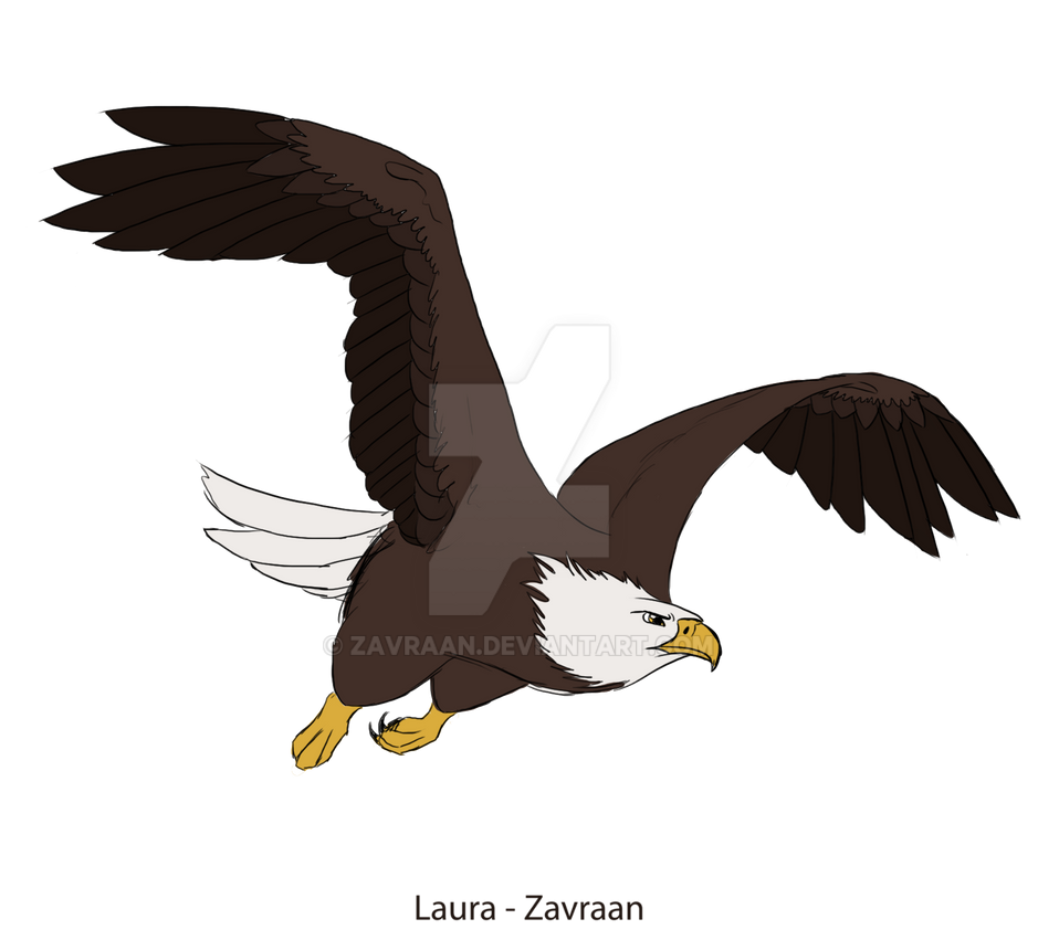 Bald Eagle By Zavraan On DeviantArt bald-eagle-by-zavraan-on-deviantart