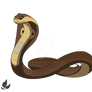 Common cobra