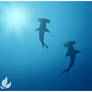 Hammerheads