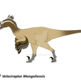Velociraptor - Design