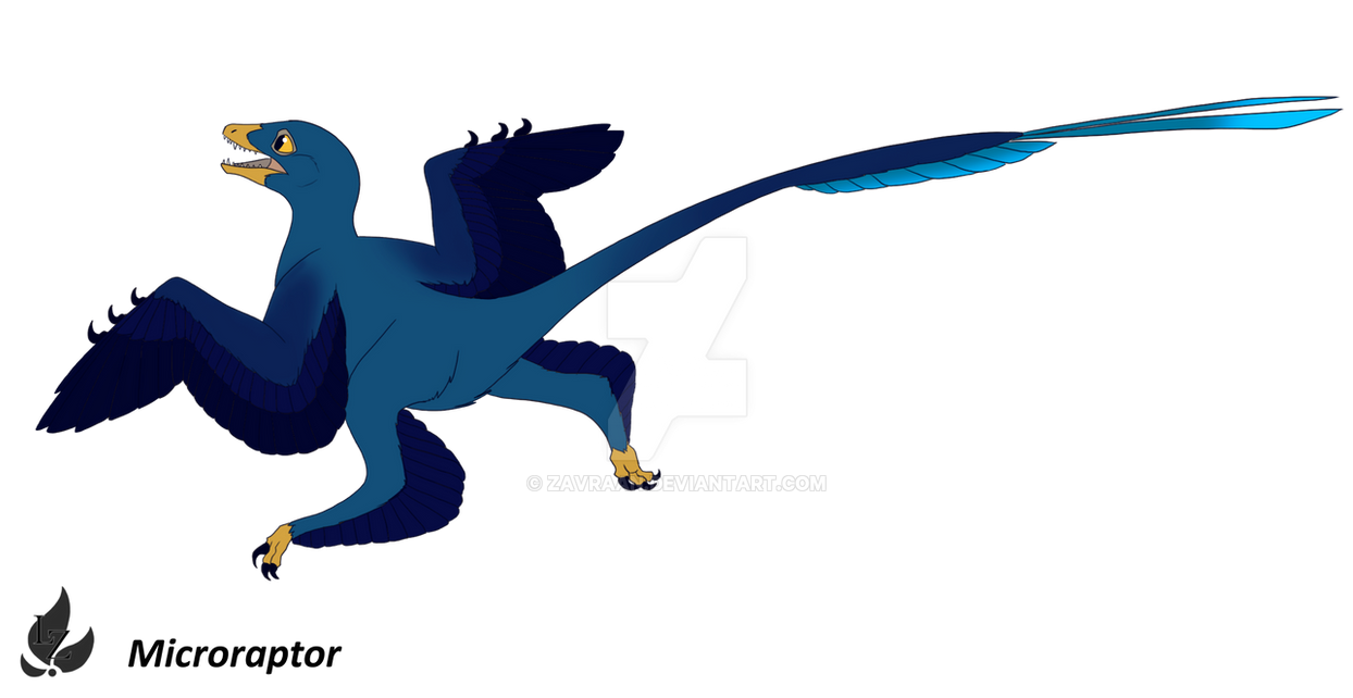 Microraptor - Design by Zavraan on DeviantArt