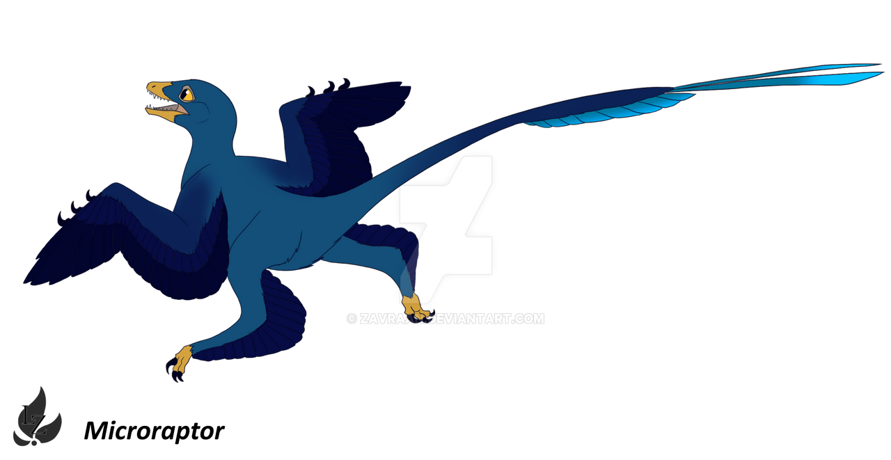 Microraptor - Design by Zavraan on DeviantArt