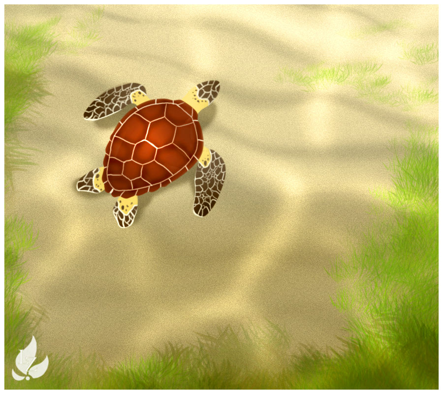 Sea turtle by Zavraan on DeviantArt