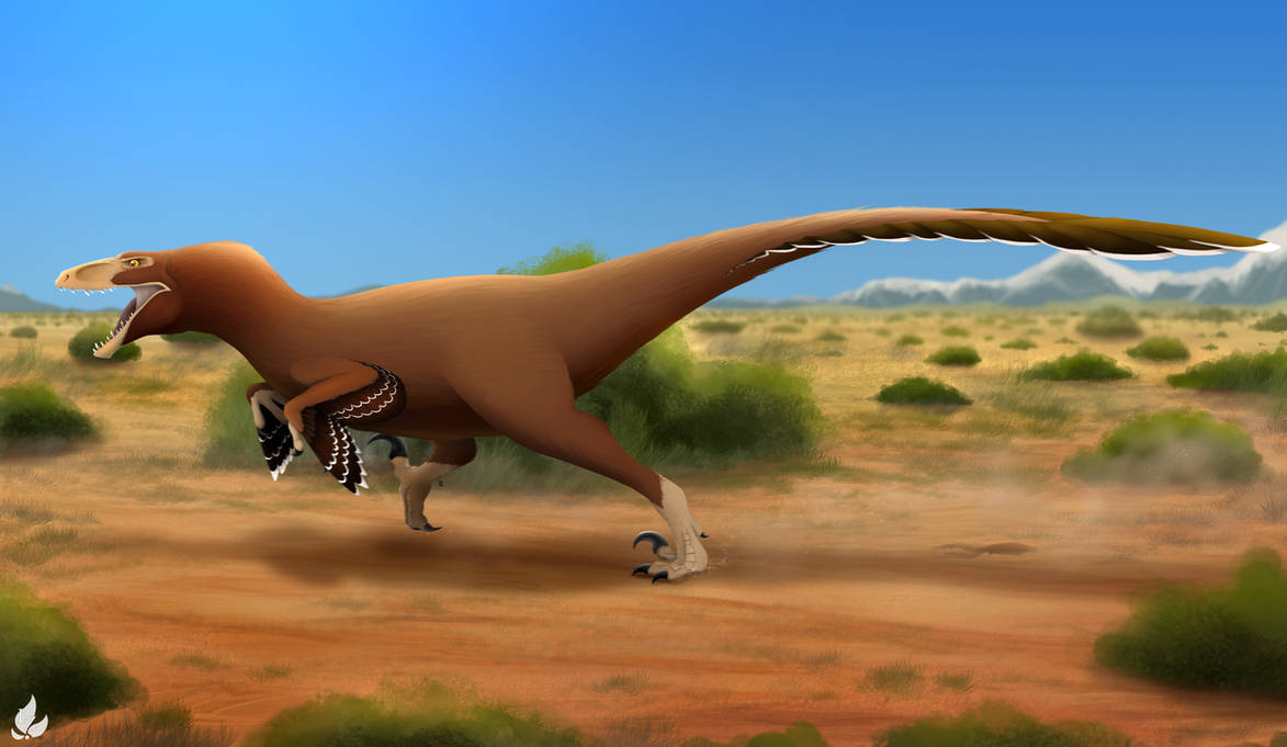 Dko Raptor Dakota raptor by Zavraan on DeviantArt