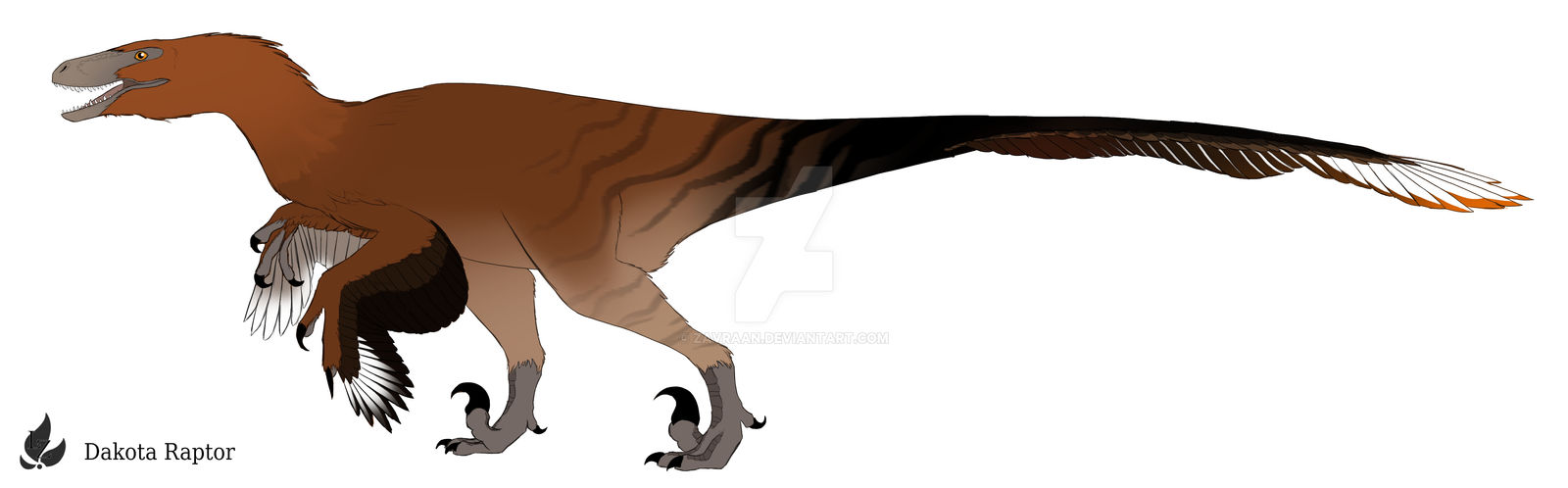 Dakota raptor by Zavraan on DeviantArt