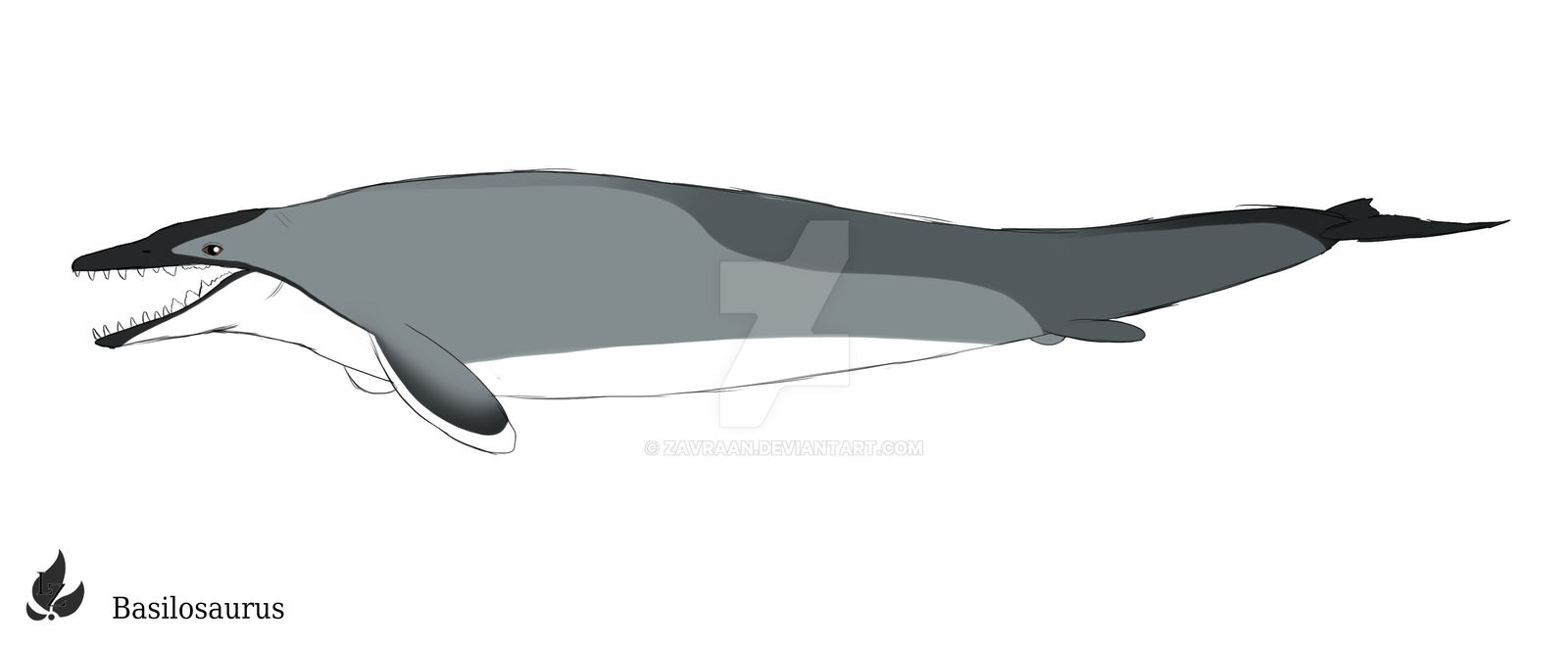 Basilosaurus Deviantart Basilosaurus by Zavraan on DeviantArt