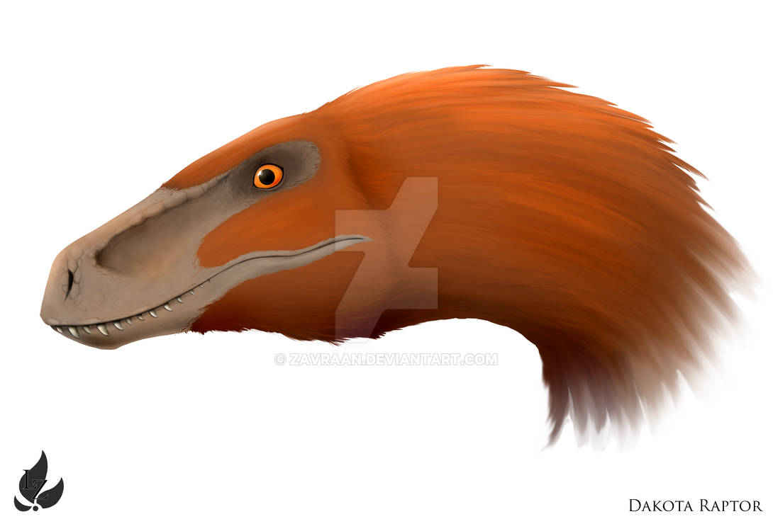 Dapro Raptor Dakota raptor - Portrait by Zavraan on DeviantArt