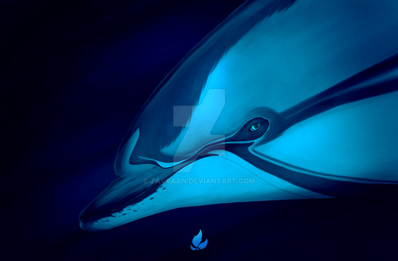 Cerulean by Zavraan on DeviantArt