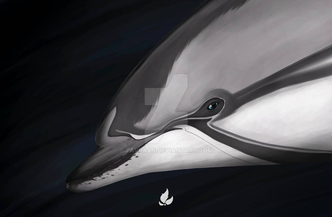 Cerulean - second version by Zavraan on DeviantArt