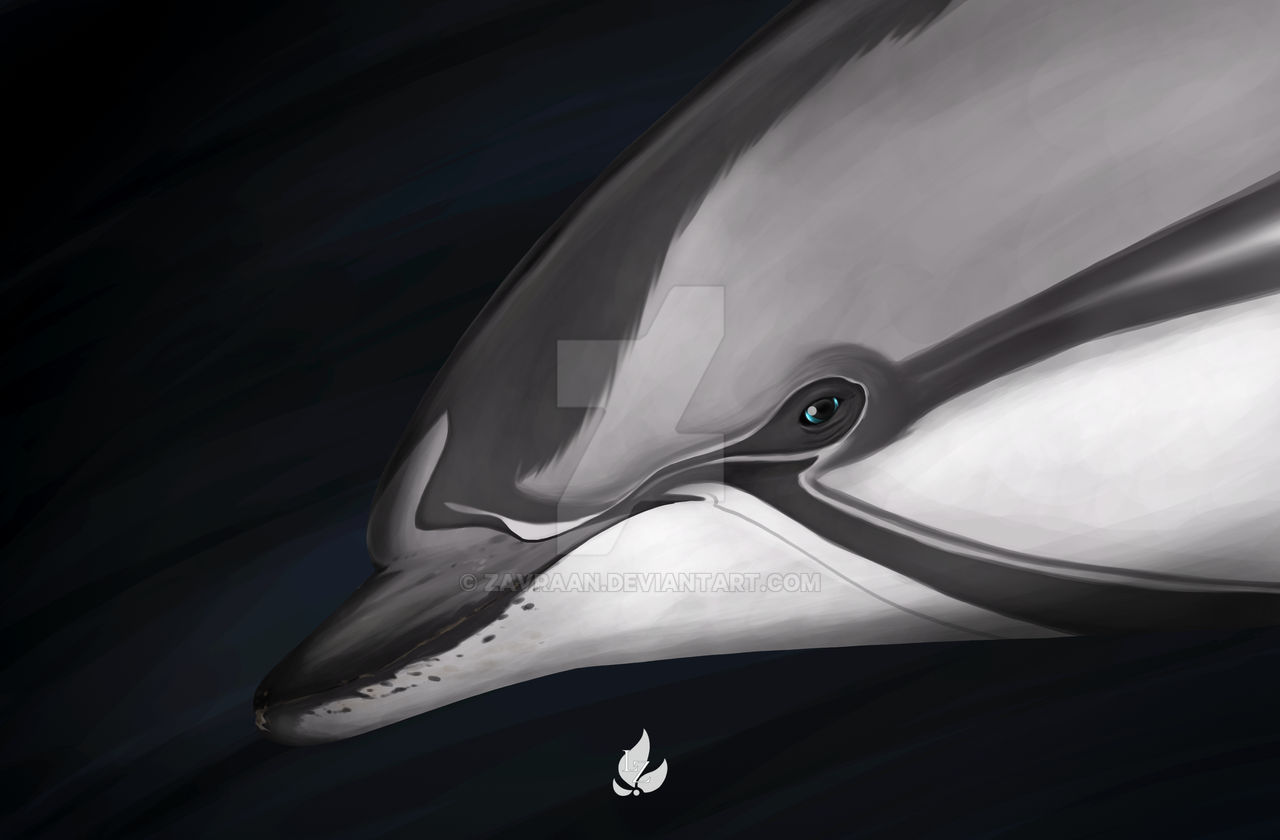 Cerulean - second version by Zavraan on DeviantArt