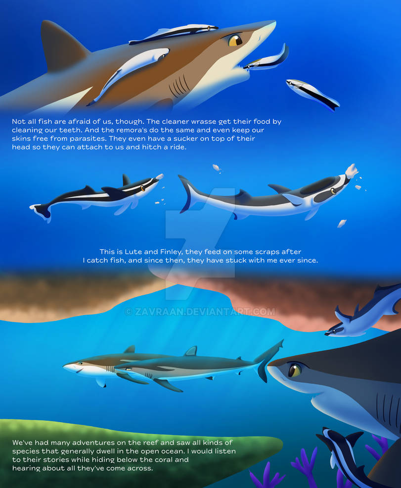 Shark Deviantart SHARKS Page 5 by Zavraan on DeviantArt