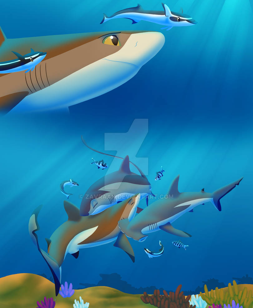 Shark Deviantart SHARKS Page 30 PREVIEW by Zavraan on DeviantArt