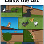 DMAM Laika the cat 1