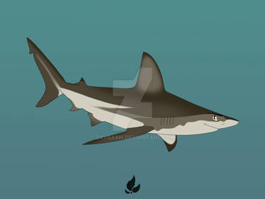 Bull Shark from Maneater by AmaletzTheShark on DeviantArt