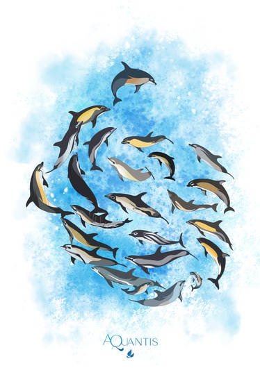 Aquantis character poster 2nd anniversary