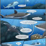ANF Page 9