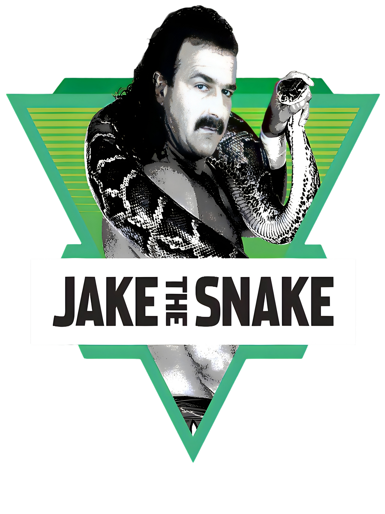 Jake The Snake Roberts by morrison889 on DeviantArt