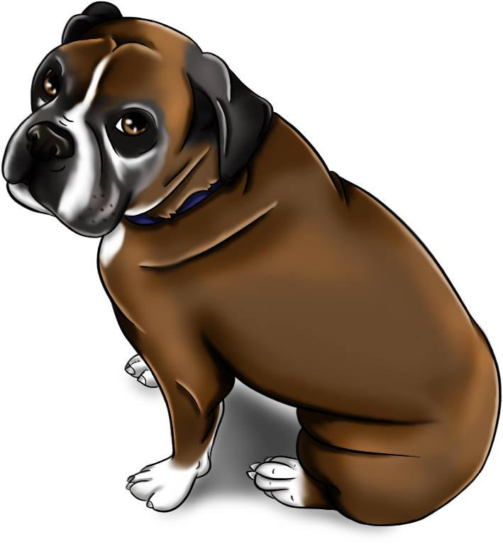 Deviantart Boxer Dog Boxer. by HungryDragonArts on DeviantArt