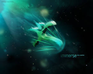 Immerse