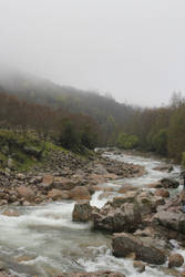 Fog in the river