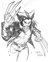 Wolverine cartoony sketch