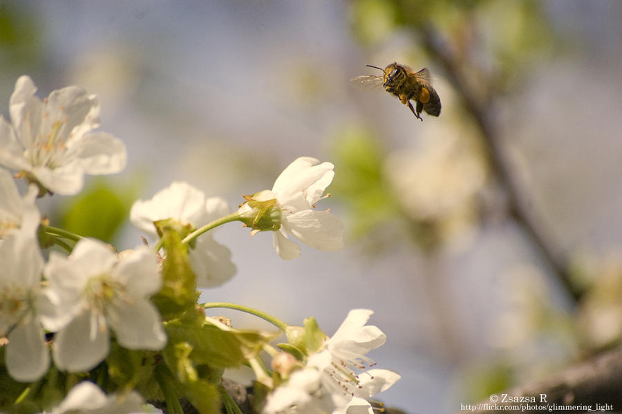 Spring 2010
