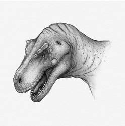 Tyrannosaurus rex Portrait Sketch