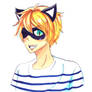 Sailor Chat Noir