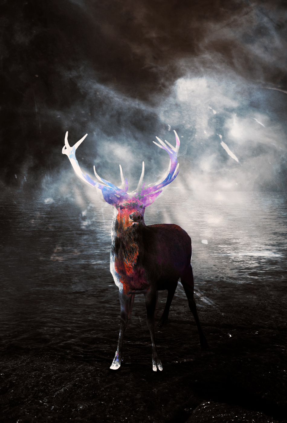 Magical Deer