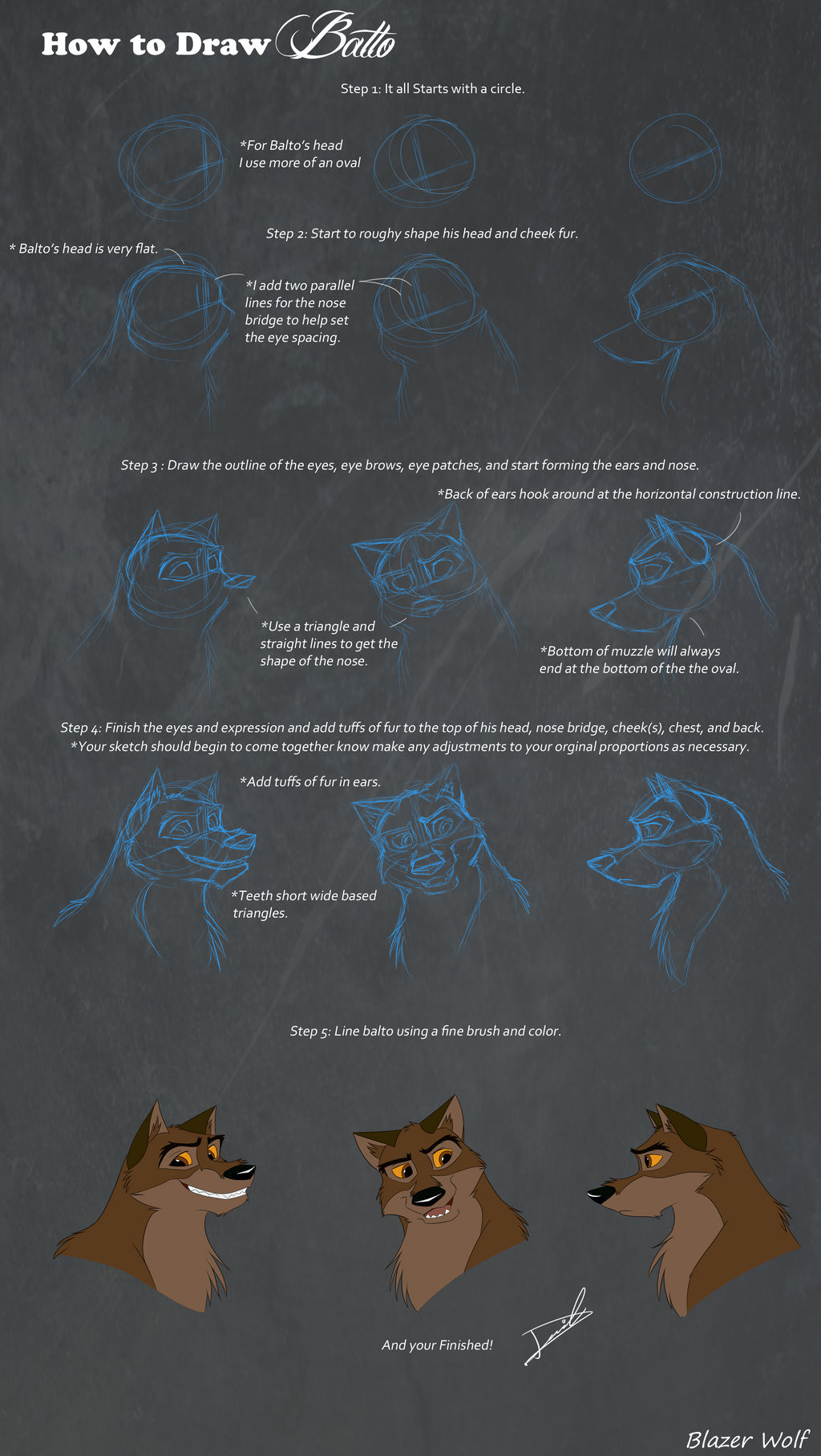 How to Draw Balto Tutorial by BlazerWolf21 on DeviantArt