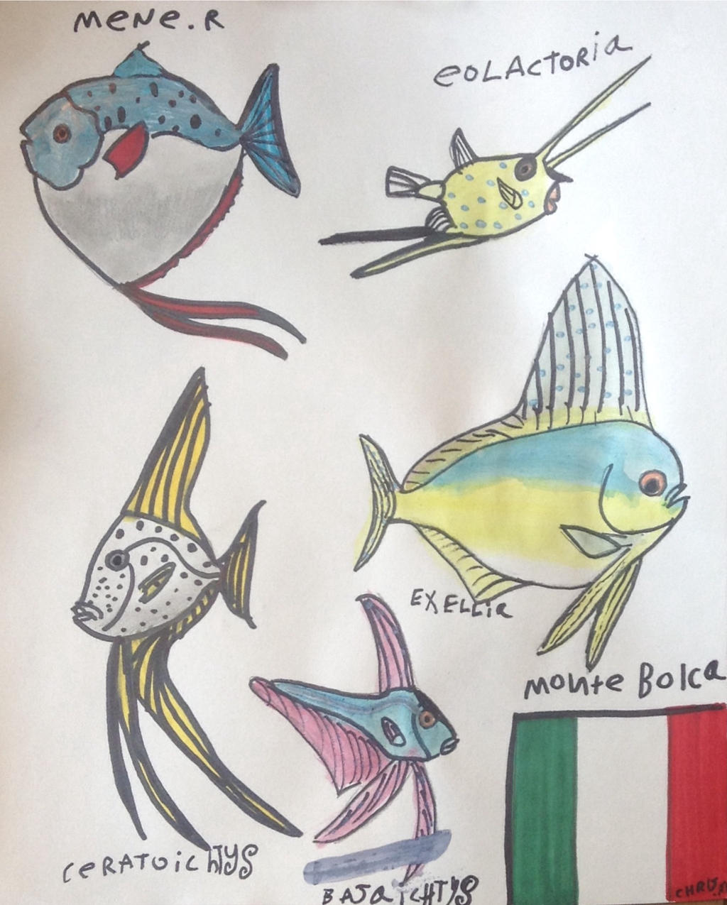 Extinct Fish Species from Monte Bolca by ChrisM199 on DeviantArt