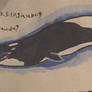 Basilosaurus World Whale Day