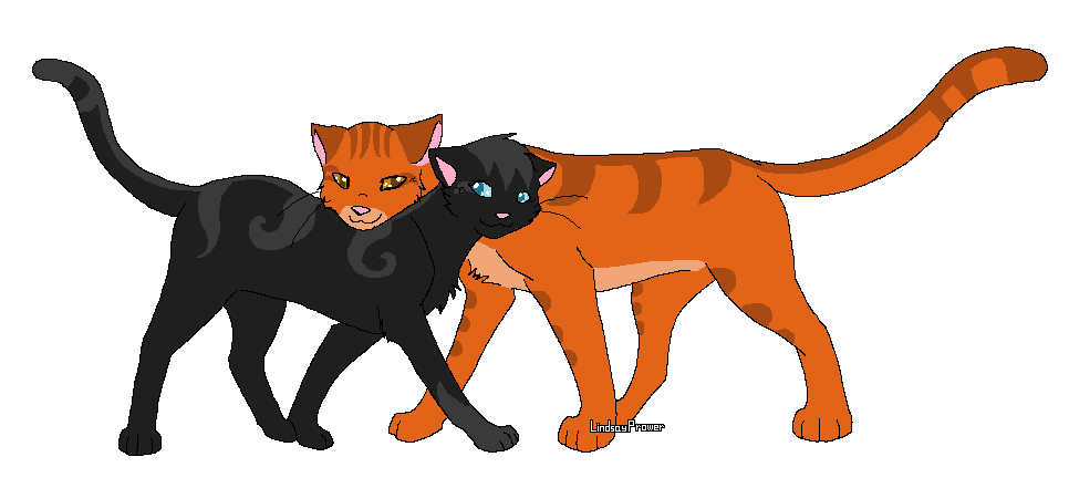 Nightpelt and Firestripe