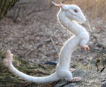 Needle Felted Albino Oriental by tallydragon