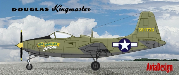 Douglas Kingmaster USAF attack