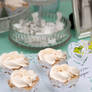 Romantic Wedding - Marzipan Chamgagne Cupcakes