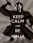 Stay Ninja