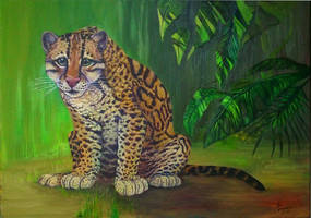 Ocelot