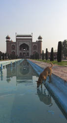 The Gate of Taj Mahal