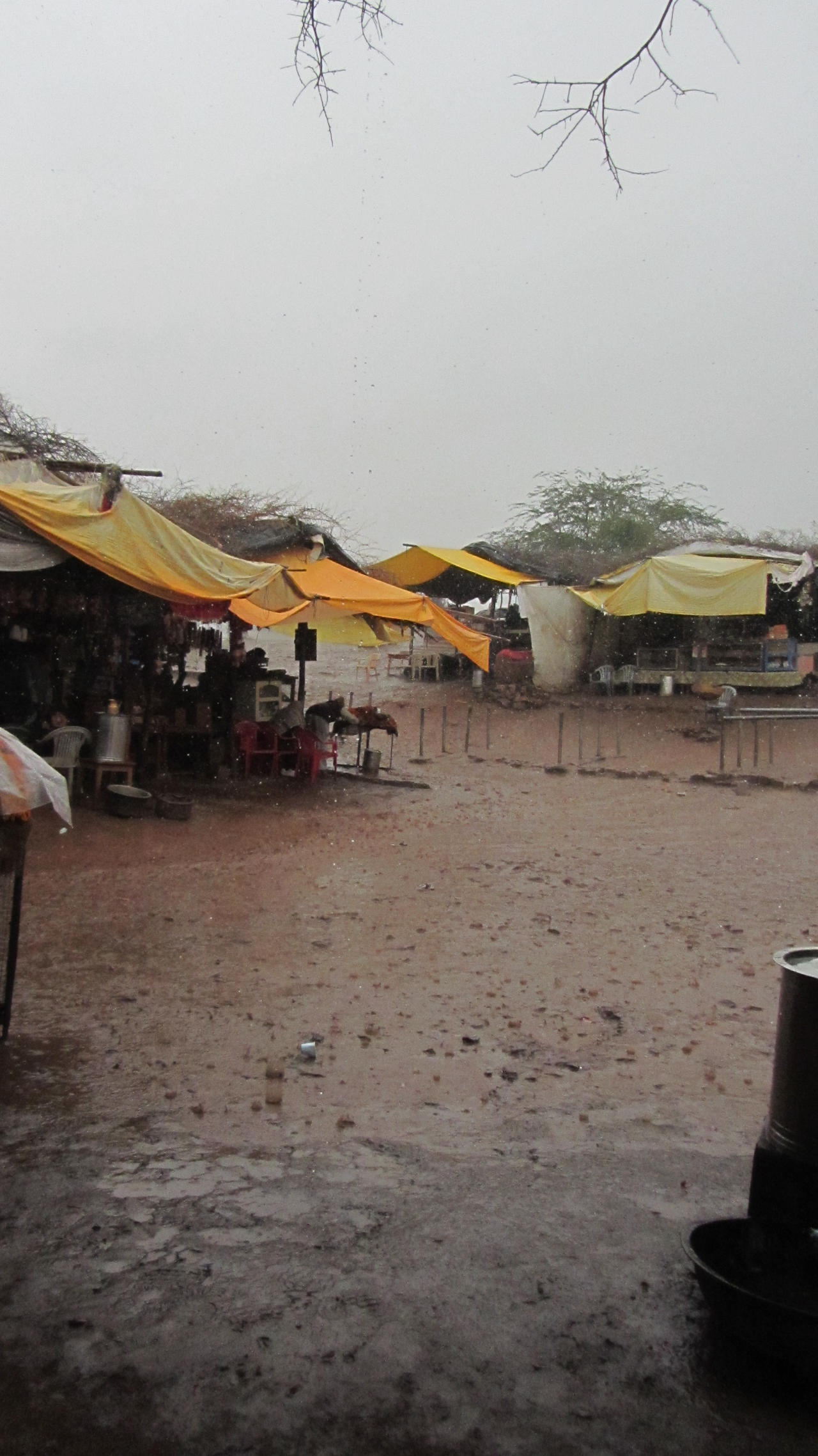 Rains in the Dry Season