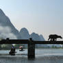 Cow on Bridge